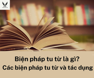 Biện pháp tu từ là gì?