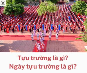 Tựu trường là gì? Ngày tựu trường là gì? Thông tin tựu trường? 