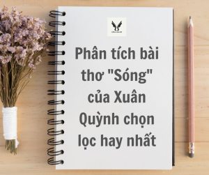 Phân tích bài thơ Sóng của Xuân Quỳnh chọn lọc hay nhất