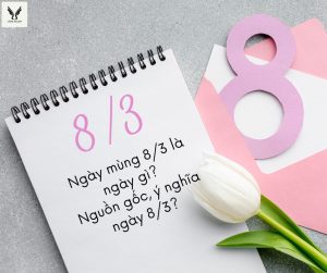 Ngày mùng 8/3 là ngày gì? Nguồn gốc, ý nghĩa ngày 8/3?