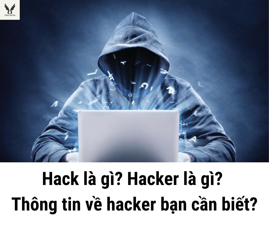 Hack là gì? Hacker là gì? Thông tin về hacker bạn cần biết?